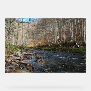 Mountain River in Autumn – Wild Nature Romania Acrylic Sign
