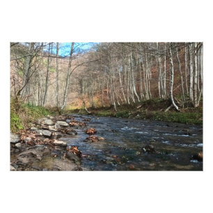 Mountain River in Autumn – Wild Nature Romania Photo Print