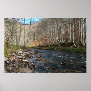 Mountain River in Autumn – Wild Nature Romania Poster