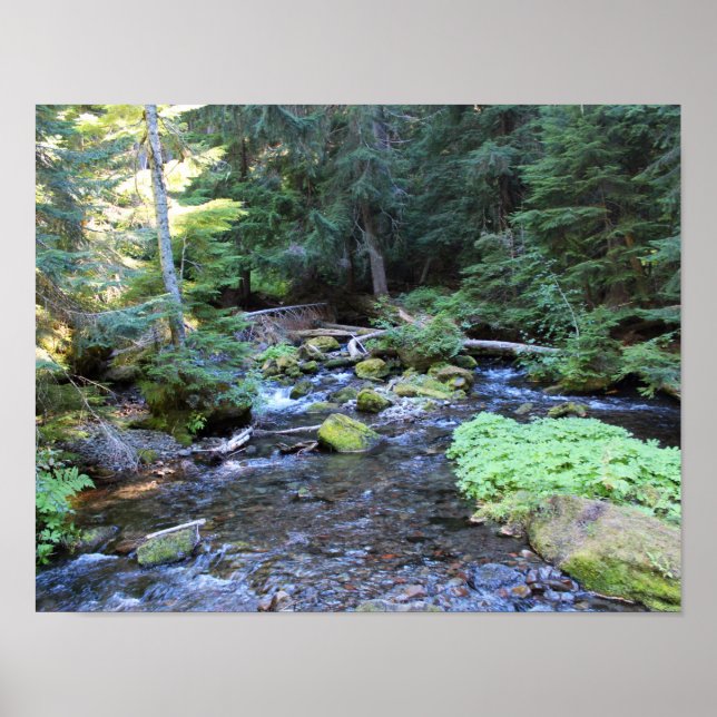 Mountain River Rocks Trees Poster (Front)