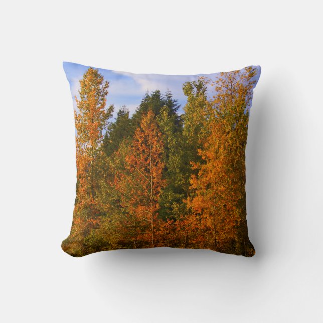 Mountain scene, trees, fall colours cushion (Front)