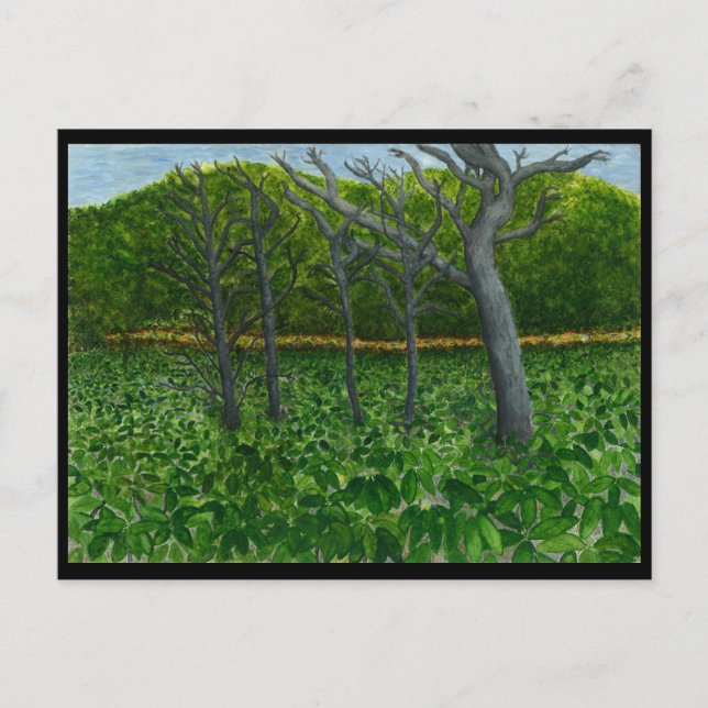 Mountain Serenity Postcard (Front)