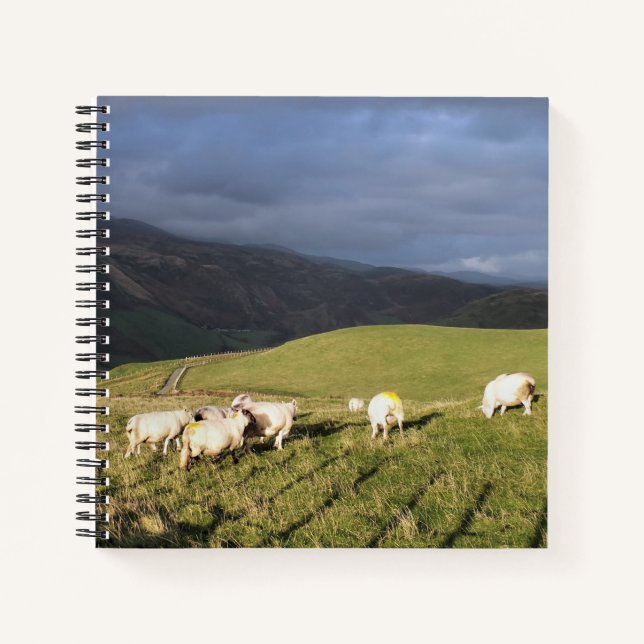 MOUNTAIN SHEEP NOTEBOOK (Front)