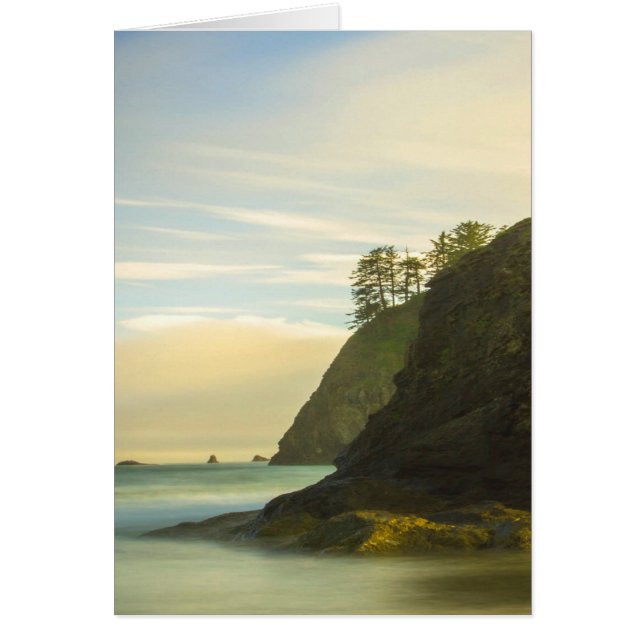 Mountain Side Ocean View (Front)