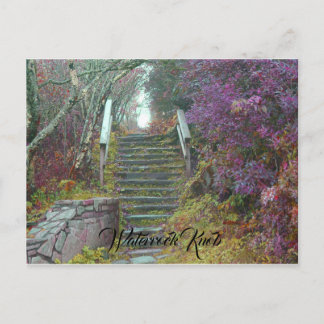 Mountain stairs to Waterrock Knob, Waynesville NC. Postcard