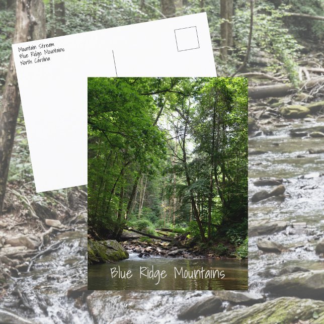 Mountain Stream Blue Ridge Mountains NC Postcard (Creator Uploaded)