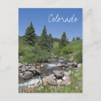 Mountain Stream Colorado