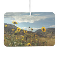 Mountain Sunflowers Beautiful Outdoors Photo
