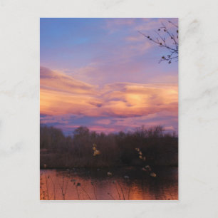 Mountain Sunset on Pond Postcard