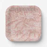 Mountain Topographic Map