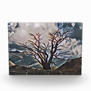 MOUNTAIN TREE PHOTO BLOCK