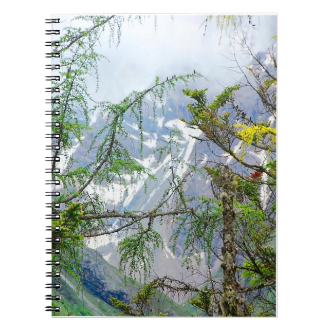 mountain trees,nature trees,forest landscape   notebook (Front)