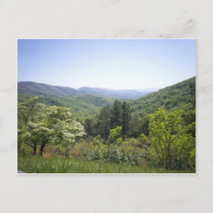 Mountain Valley 1 Postcard