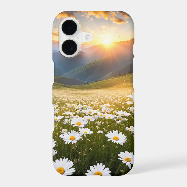 Mountain Valley Daisies (Back)