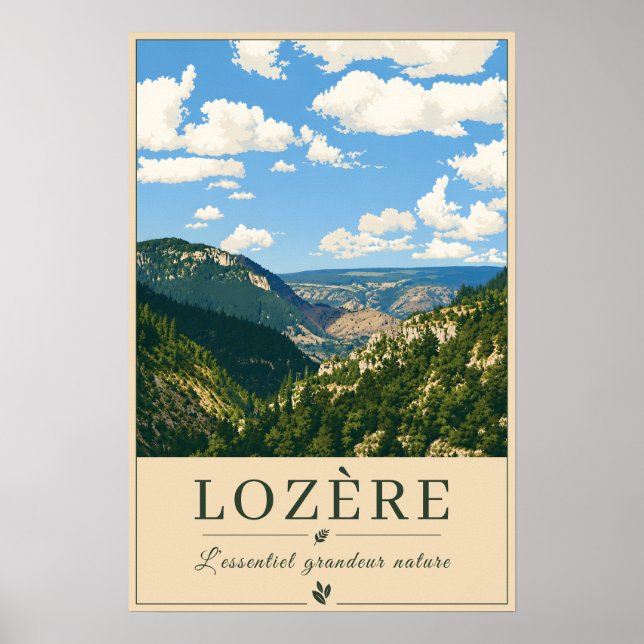 Mountain Valley Panorama Poster (Front)