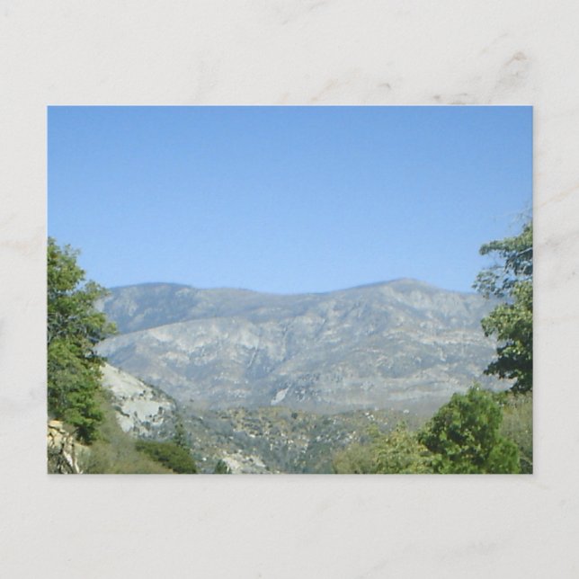 Mountain View Postcard! Postcard (Front)