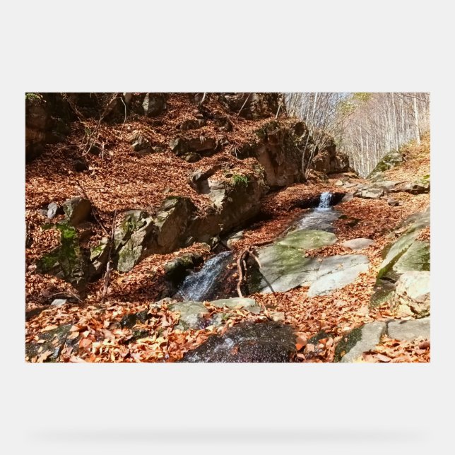 Mountain Waterfall - Wild Nature Romania Acrylic Sign (Front)