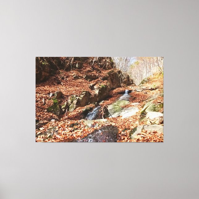 Mountain Waterfall - Wild Nature Romania Canvas Print (Front)