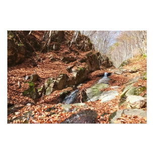 Mountain Waterfall - Wild Nature Romania Photo Print