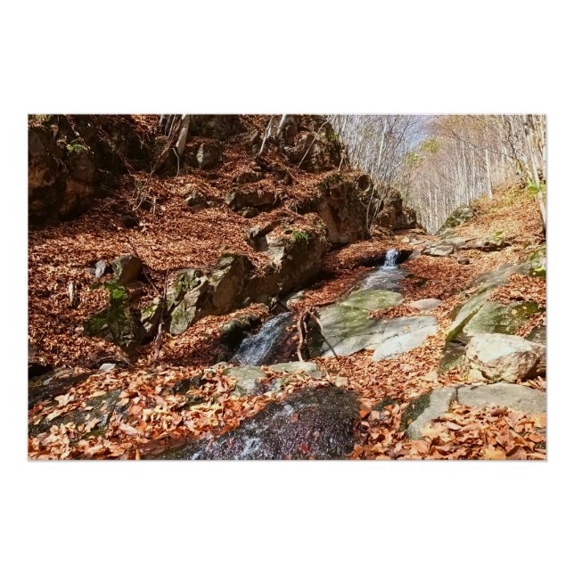 Mountain Waterfall - Wild Nature Romania Poster (Front)