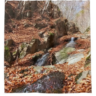 Mountain Waterfall - Wild Nature Romania Shower Curtain