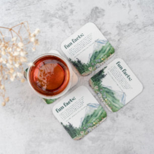 Mountain Wildflower   Fun Facts Wedding  Square Paper Coaster