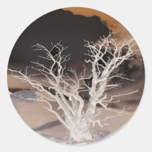 MOUNTAIN WINTER CLASSIC ROUND STICKER