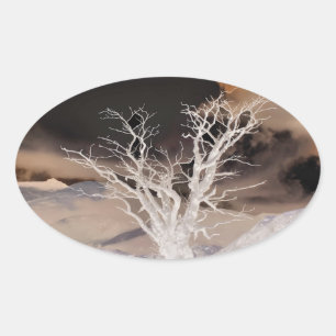 MOUNTAIN WINTER OVAL STICKER