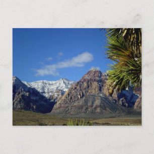 Mountains and Canyon View with Snow Postcard
