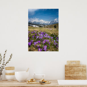 Mountains and crocus flowers on Velika Planina, Sl Poster