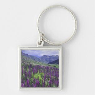 Mountains and wildflowers in alpine meadow, 2 key ring