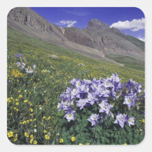 Mountains and wildflowers in alpine meadow, Blue Square Sticker