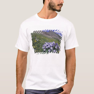 Mountains and wildflowers in alpine meadow, Blue T-Shirt