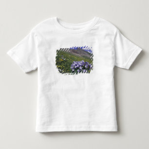 Mountains and wildflowers in alpine meadow, Blue Toddler T-Shirt