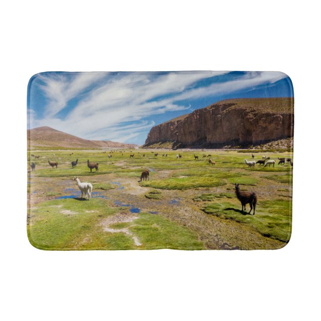 Mountains | Bolivian Andes Bath Mat (Front)