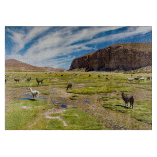 Mountains Bolivian Andes Cutting Board