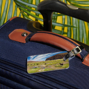 Mountains Bolivian Andes Luggage Tag