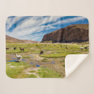 Mountains   Bolivian Andes Sherpa Blanket