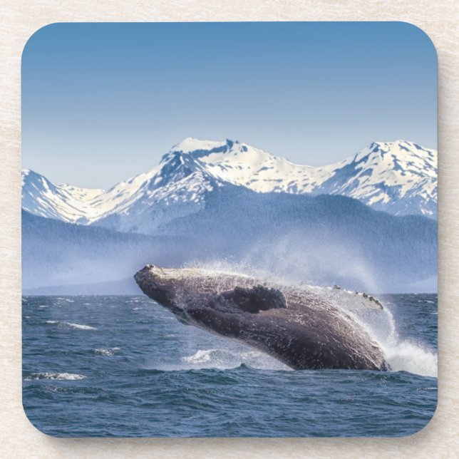 Mountains | Breaching Whale Glacier Bay, Alaska Coaster (Front)