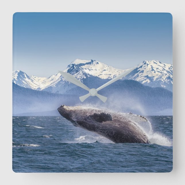 Mountains | Breaching Whale Glacier Bay, Alaska Square Wall Clock (Front)