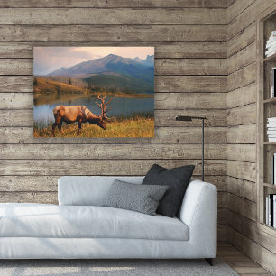 Mountains Jacques Mountain Range Alberta Canada Canvas Print