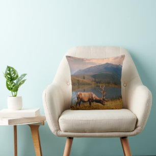 Mountains   Jacques Mountain Range Alberta Canada Cushion