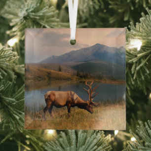 Mountains   Jacques Mountain Range Alberta Canada Glass Tree Decoration