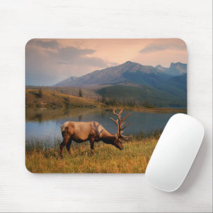 Mountains   Jacques Mountain Range Alberta Canada Mouse Pad