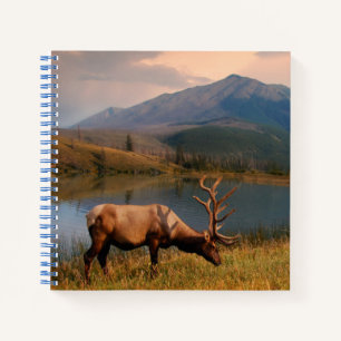 Mountains Jacques Mountain Range Alberta Canada Notebook