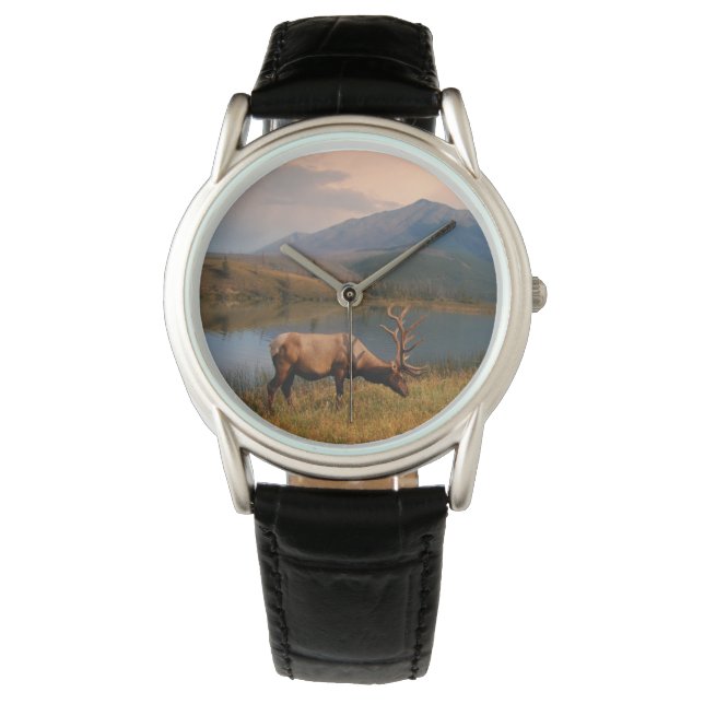 Mountains | Jacques Mountain Range Alberta Canada Watch (Front)