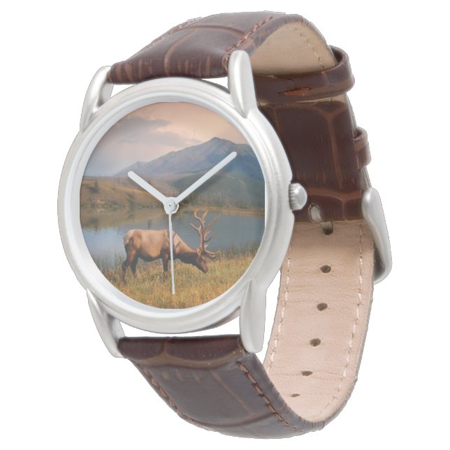 Mountains | Jacques Mountain Range Alberta Canada Watch (Angled)