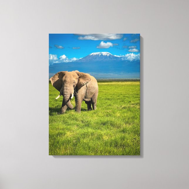 Mountains | Mount Kilimanjaro Tanzania, Africa Canvas Print (Front)