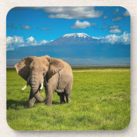 Mountains | Mount Kilimanjaro Tanzania, Africa
