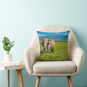 Mountains Mount Kilimanjaro Tanzania, Africa Cushion